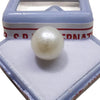 South Sea Pearl (Moti) Stone- Standard Quality - 3 Ratti to 21.50 Ratti with Lab Report & Guarantee Certificate image 0