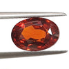 Ceylon Hessonite (Gomed) Gemstone - Luxury Quality - 3 Ratti to 21.50 Ratti with Govt. Lab Certificate & Guarantee Certificate image 0