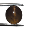 Ceylon Cats Eye (Lehsunia) Gemstone - Premium Quality - 3 to 10.25 Ratti with Lab Report & Guarantee Certificate image 0