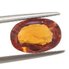 Ceylon Hessonite (Gomed) Gemstone - Premium Plus Quality - 3 Ratti to 21.50 Ratti with Govt. Lab Certificate & Guarantee Certificate image 0