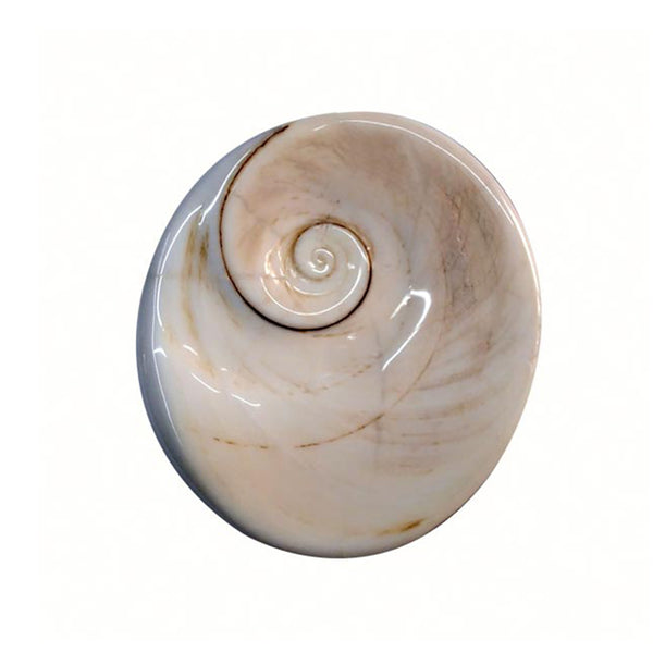 Natural Gomati/ Gomti Chakra Original Certified with Lab Certified Report & Guarantee Certificate image 0