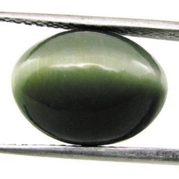 Indian Cats Eye (Lehsunia) - Premium Quality - 3 to 10.25 Ratti with Lab Report & Guarantee Certificate image 0