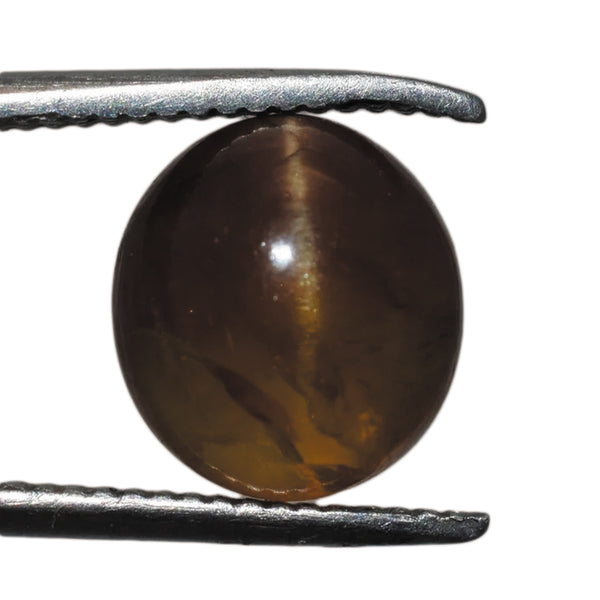 Ceylon Cats Eye (Lehsunia) Gemstone - Premium Quality - 3 to 10.25 Ratti with Lab Report & Guarantee Certificate image 0