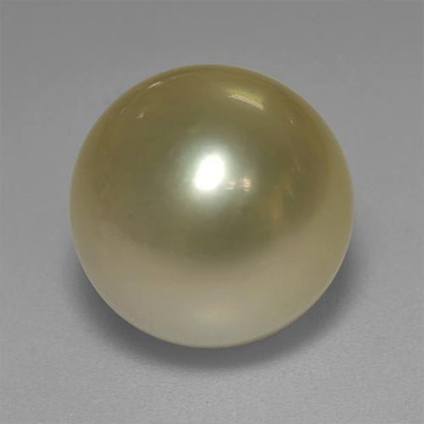 Golden South Sea Pearl - Standard Quality - 3 Ratti to 21.25 Ratti with Lab Certificate & Guarantee Certificate image 0
