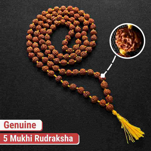 Rudraksha Mala - Best Quality (108+1 Beads) with Lab Certified Report & Guarantee Certificate image 1