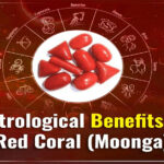 Benefits of Wearing Red Coral Gemstone