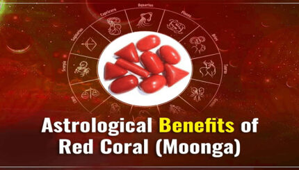 Benefits of Wearing Red Coral Gemstone